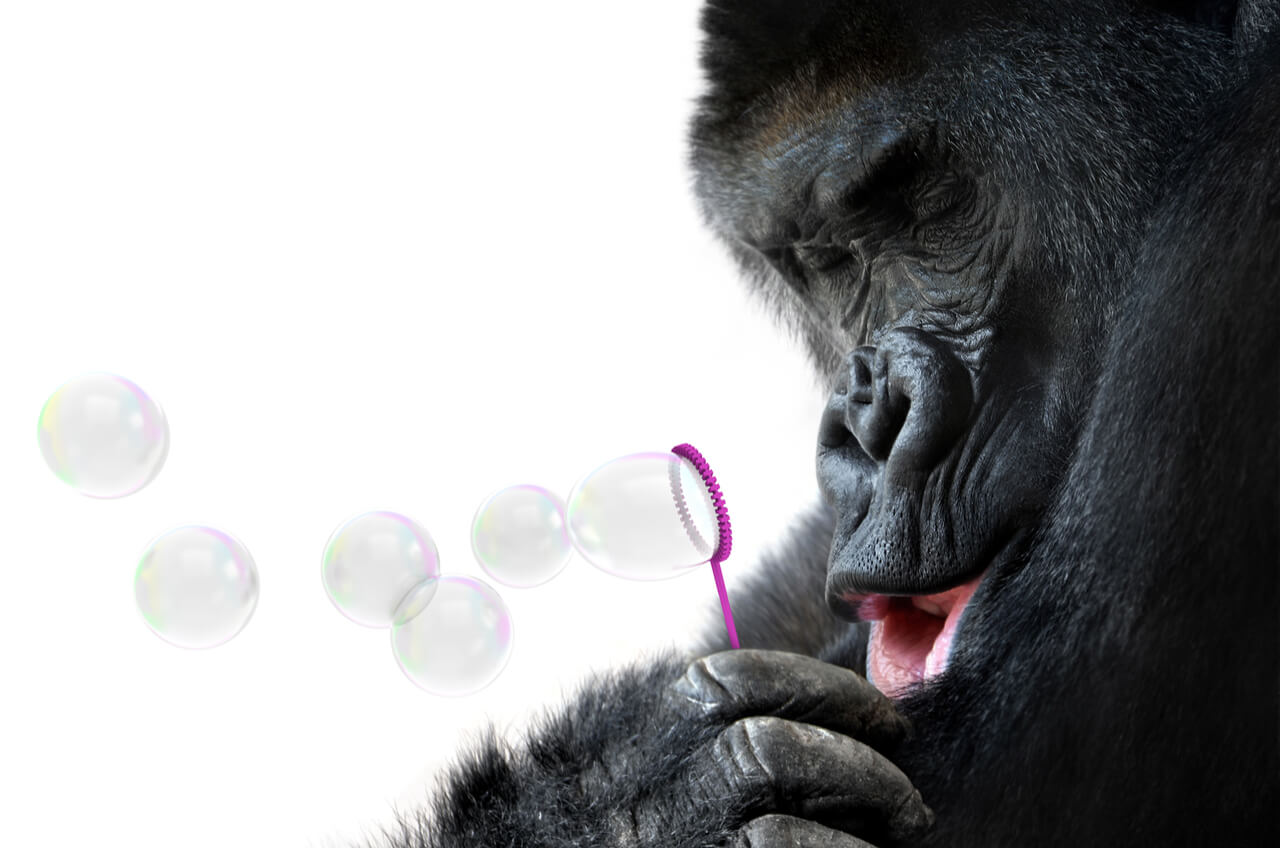 Gorilla blowing bubbles